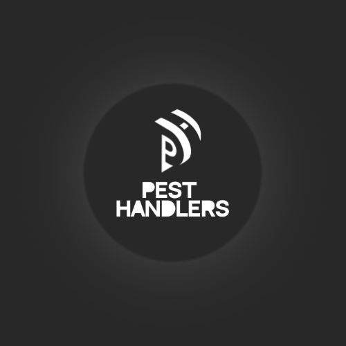 Digital marketing for Pest Handlers